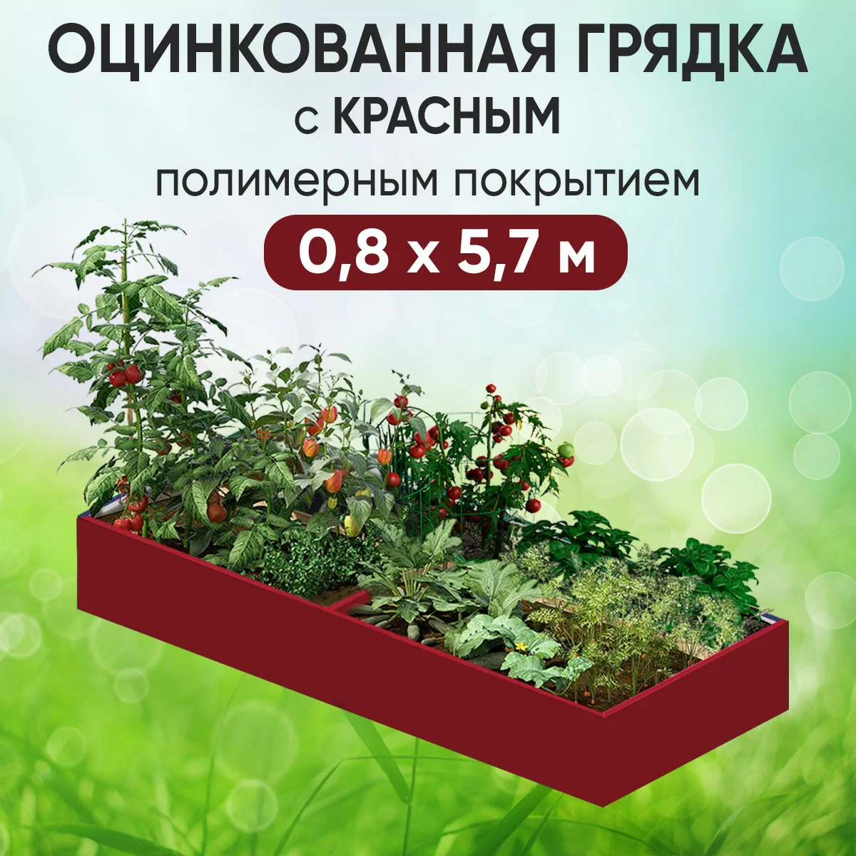 Грядка красная (0,8 х 5,7)