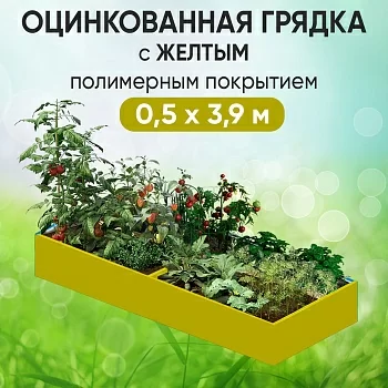 Грядка желтая (0,5 х 3,9)
