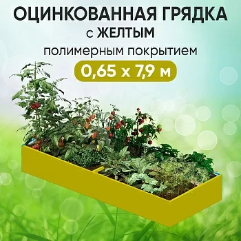 Грядка желтая (0,65 х 7,9)