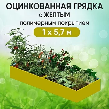 Грядка желтая (1 х 5,7)