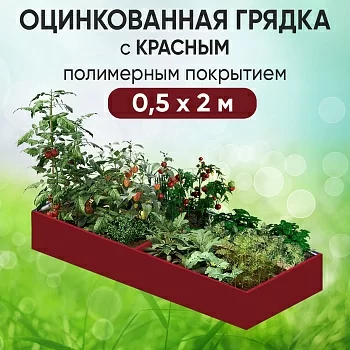 Грядка красная (0,5 х 2)