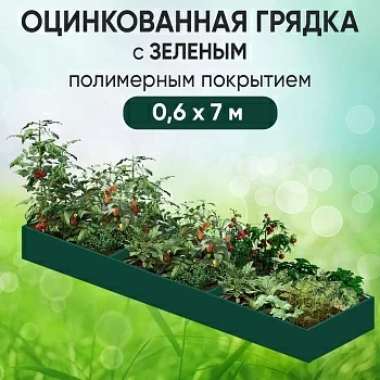 Грядка зеленая (0,6 х 7)