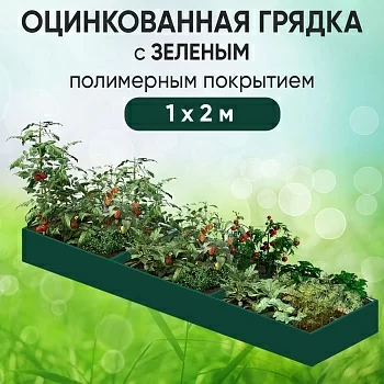 Грядка зеленая (1 х 2)